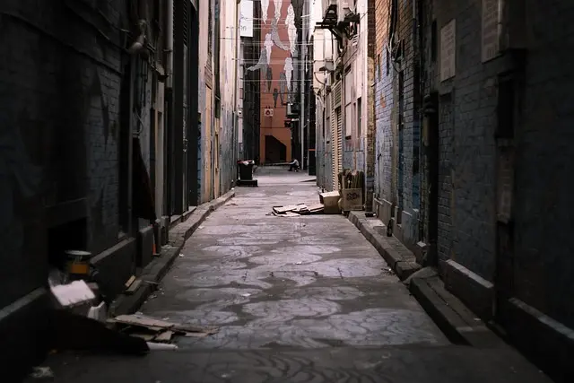 Best Kitty Litter Boxes: Your Ultimate Buying Guide